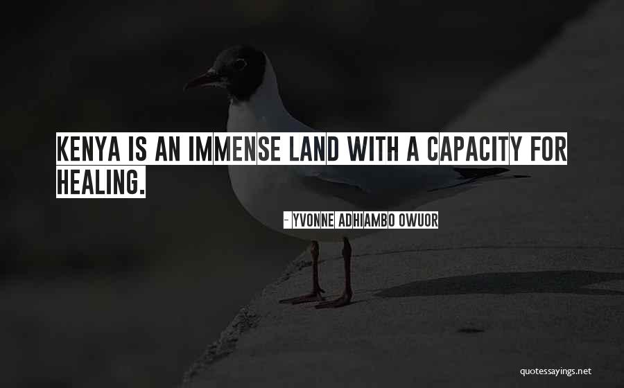 Yvonne Adhiambo Owuor Quotes 1293379 Yvonne Adhiambo Owuor Quotes 1293379