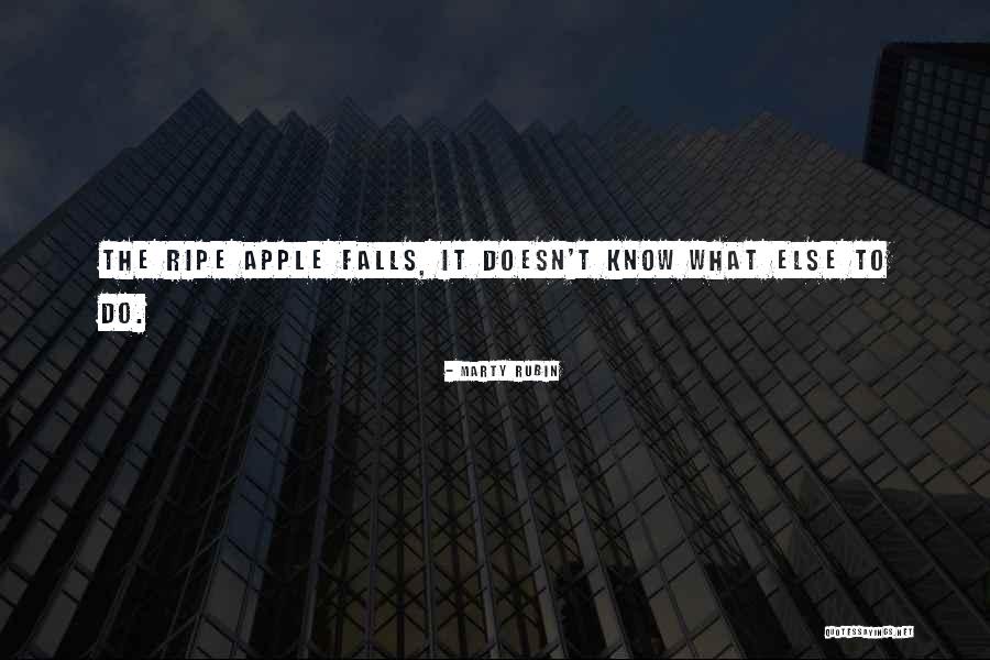 Ywam Tyler Quotes By Marty Rubin