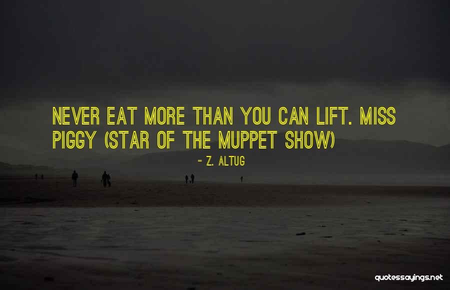 Z. Altug Quotes 1666391