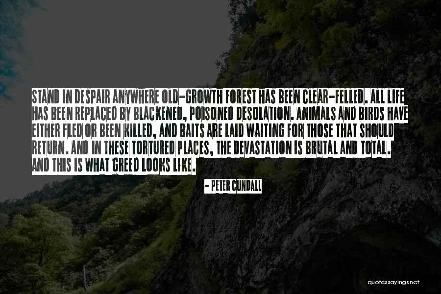 Z Baits Quotes By Peter Cundall Z Baits Quotes By Peter Cundall
