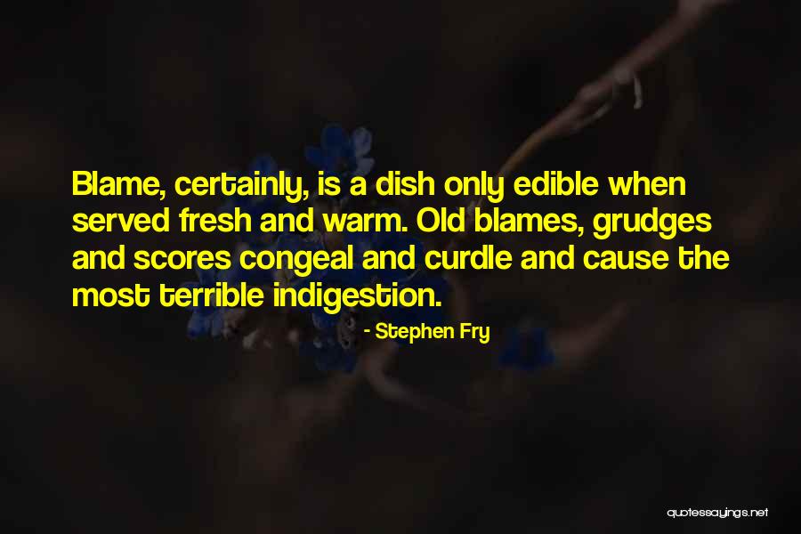 Zabiullah Rahmani Quotes By Stephen Fry Zabiullah Rahmani Quotes By Stephen Fry
