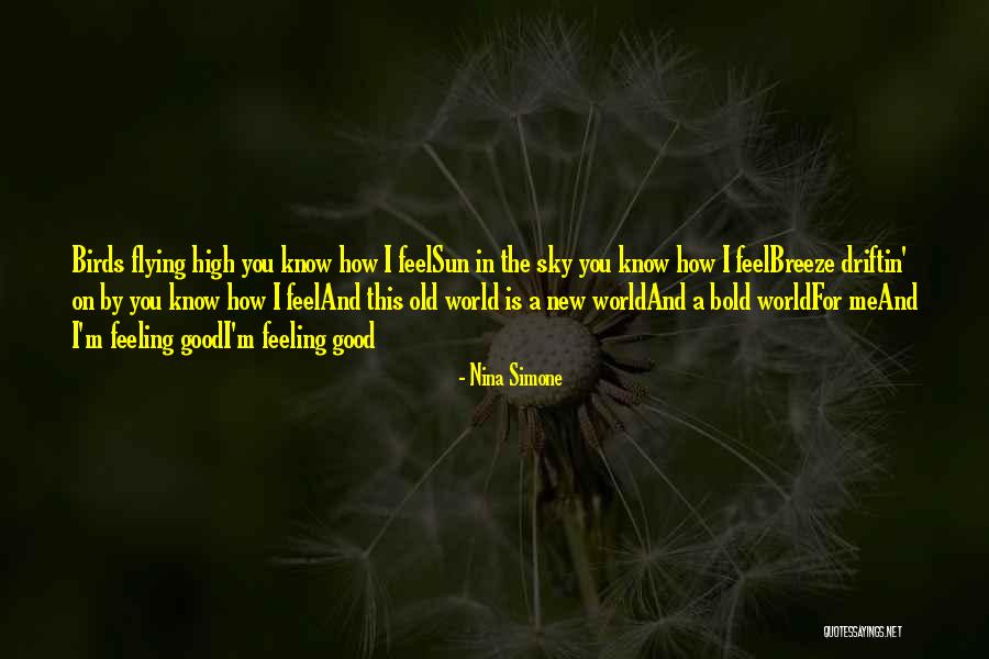 Zabrana Na Quotes By Nina Simone Zabrana Na Quotes By Nina Simone