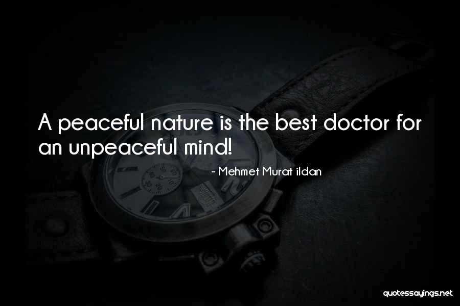 Zabranjeni Domaci Quotes By Mehmet Murat Ildan Zabranjeni Domaci Quotes By Mehmet Murat Ildan