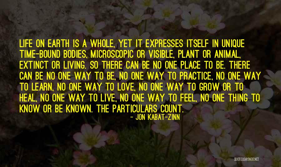 Zabriskie Law Quotes By Jon Kabat-Zinn Zabriskie Law Quotes By Jon Kabat-Zinn
