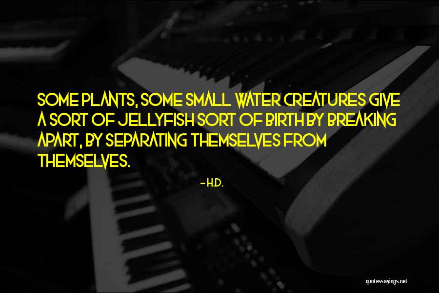 Zabroni Album Quotes By H.D. Zabroni Album Quotes By H.D.