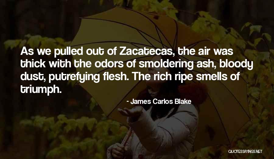 Zacatecas Zacatecas Quotes By James Carlos Blake Zacatecas Zacatecas Quotes By James Carlos Blake