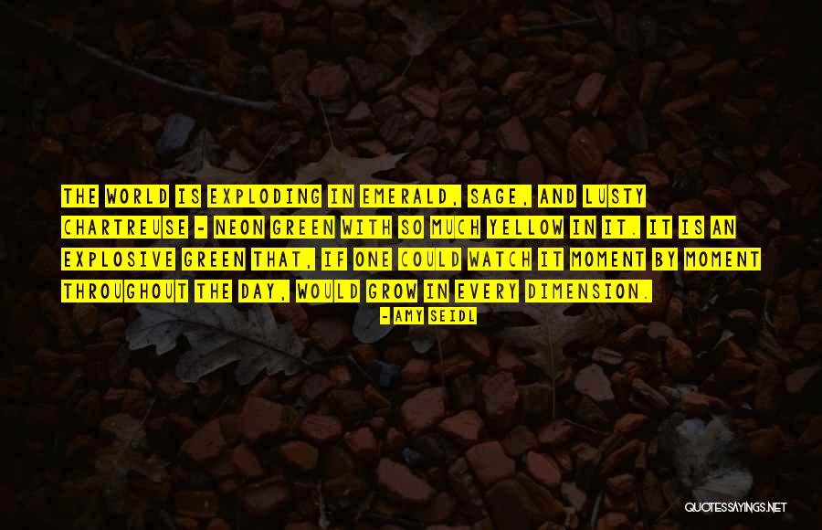 Zaccagnino Tim Quotes By Amy Seidl Zaccagnino Tim Quotes By Amy Seidl