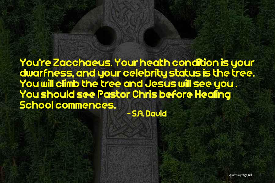 Zacchaeus Quotes By S.A. David