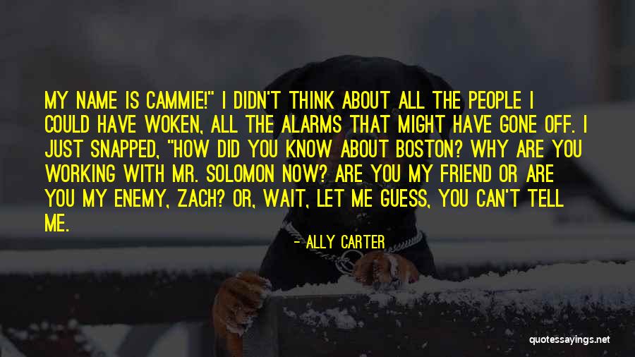 Zach And Cammie Quotes By Ally Carter Zach And Cammie Quotes By Ally Carter