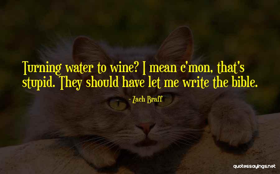 Zach Braff Quotes 747471 Zach Braff Quotes 747471