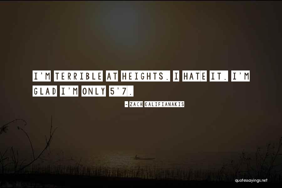 Zach Galifianakis Quotes 125135 Zach Galifianakis Quotes 125135