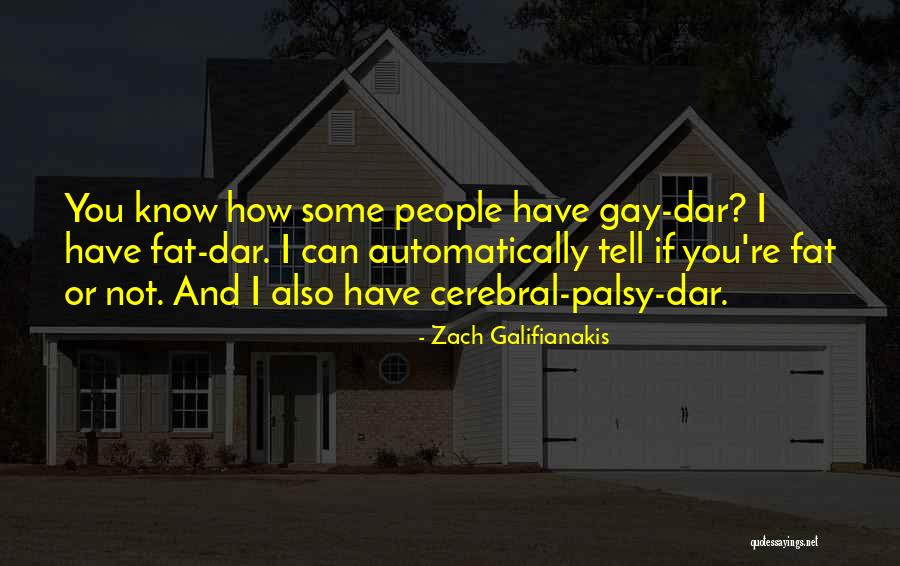 Zach Galifianakis Quotes 1466618