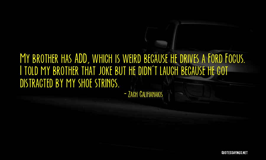Zach Galifianakis Quotes 1513576 Zach Galifianakis Quotes 1513576