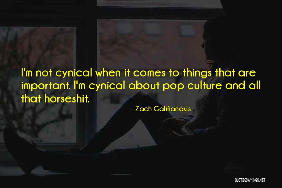 Zach Galifianakis Quotes 1514818