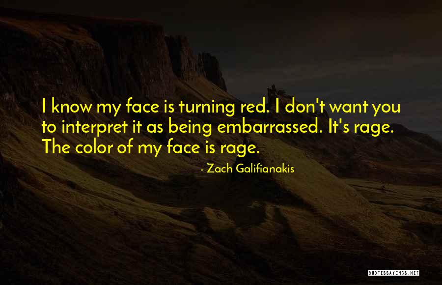 Zach Galifianakis Quotes 1811376