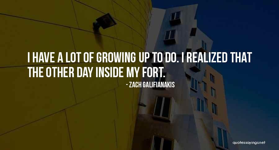 Zach Galifianakis Quotes 779213 Zach Galifianakis Quotes 779213