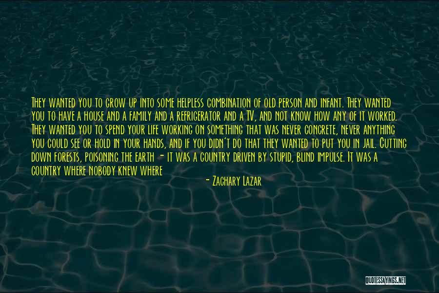 Zachary Lazar Quotes 1998718 Zachary Lazar Quotes 1998718
