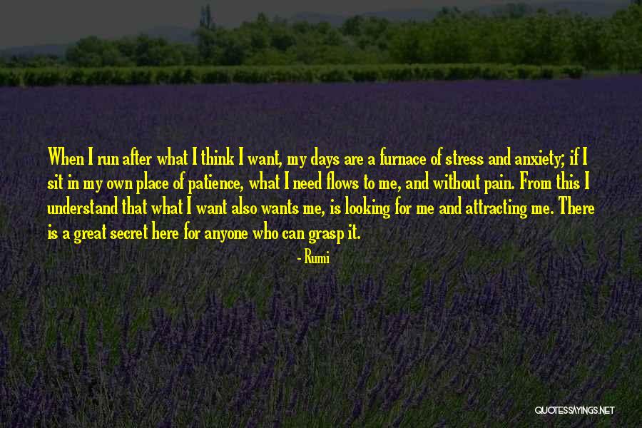 Zachowania Agresywne Quotes By Rumi Zachowania Agresywne Quotes By Rumi