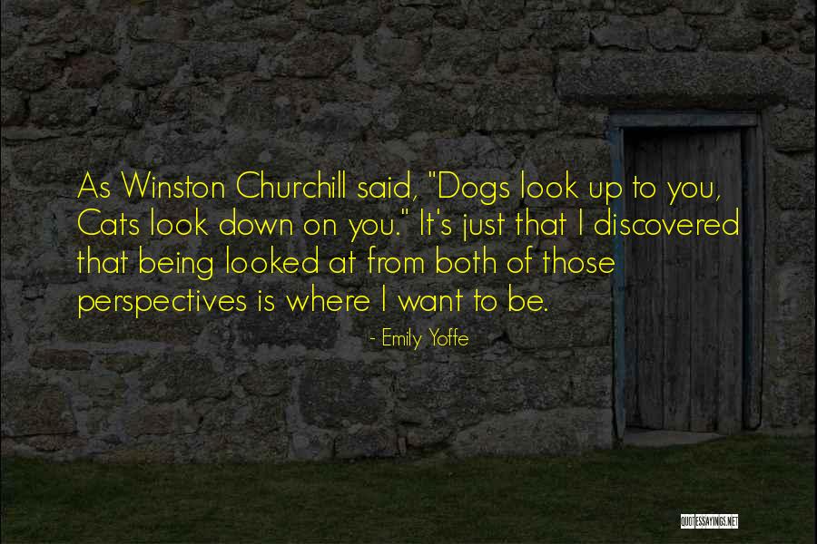 Zack Todd Quotes By Emily Yoffe Zack Todd Quotes By Emily Yoffe