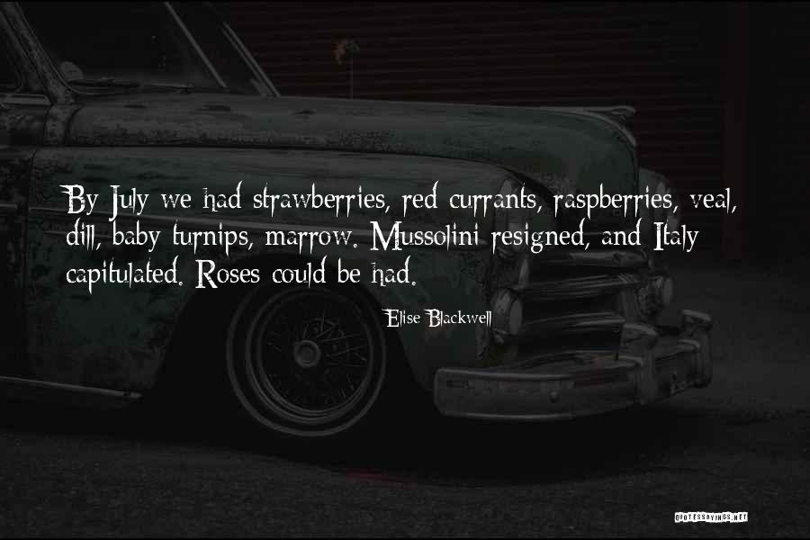 Zaenal Beta Quotes By Elise Blackwell Zaenal Beta Quotes By Elise Blackwell