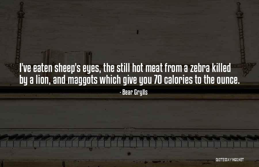 Zaful Quotes By Bear Grylls Zaful Quotes By Bear Grylls