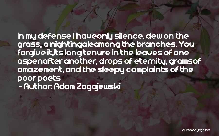 Zagajewski Quotes By Adam Zagajewski