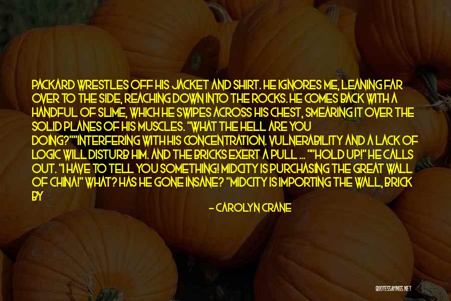 Zaglis Saxelebi Quotes By Carolyn Crane Zaglis Saxelebi Quotes By Carolyn Crane