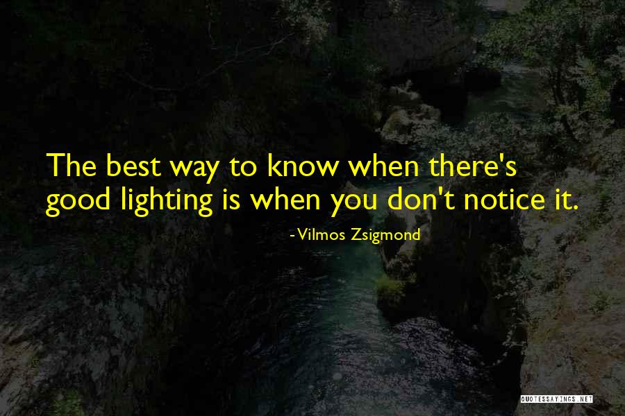 Zaglis Saxelebi Quotes By Vilmos Zsigmond Zaglis Saxelebi Quotes By Vilmos Zsigmond