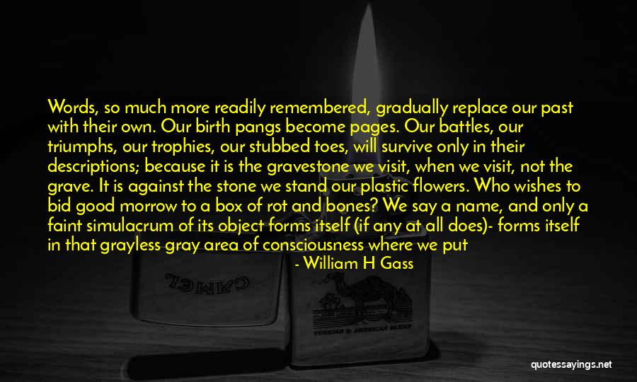 Zaharia Stancu Quotes By William H Gass Zaharia Stancu Quotes By William H Gass