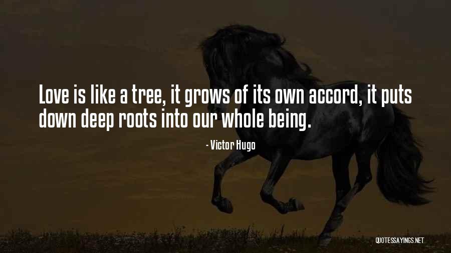 Zaharije Ostojic Quotes By Victor Hugo