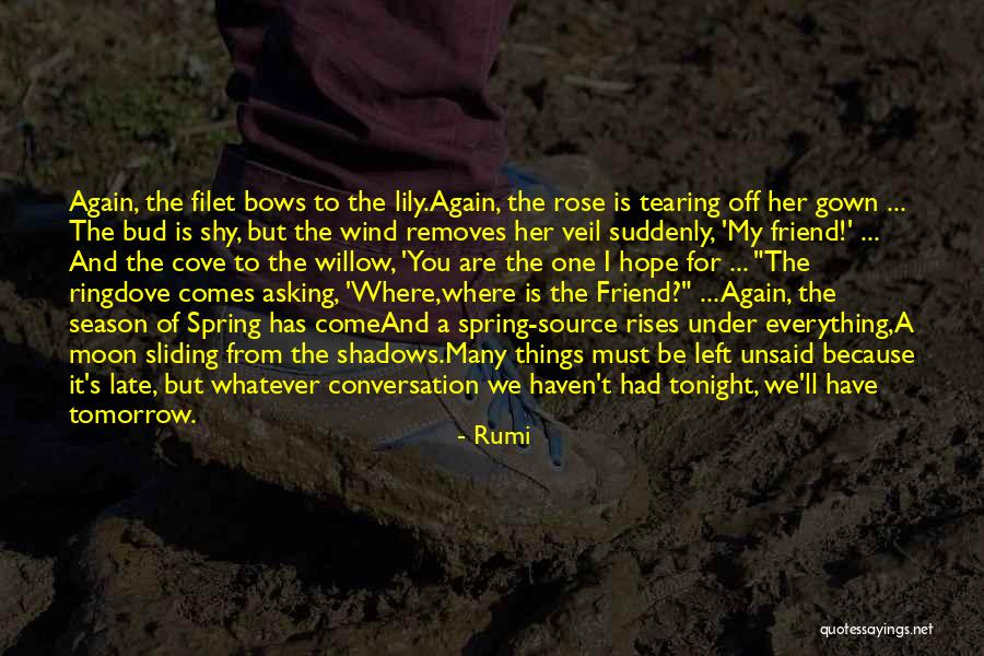 Zahed Firouzi Quotes By Rumi Zahed Firouzi Quotes By Rumi