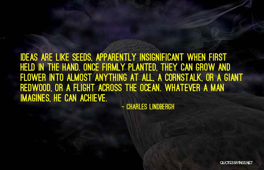 Zahler Paraguard Quotes By Charles Lindbergh Zahler Paraguard Quotes By Charles Lindbergh