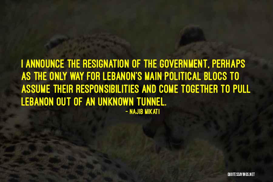 Zaide Silvia Quotes By Najib Mikati Zaide Silvia Quotes By Najib Mikati