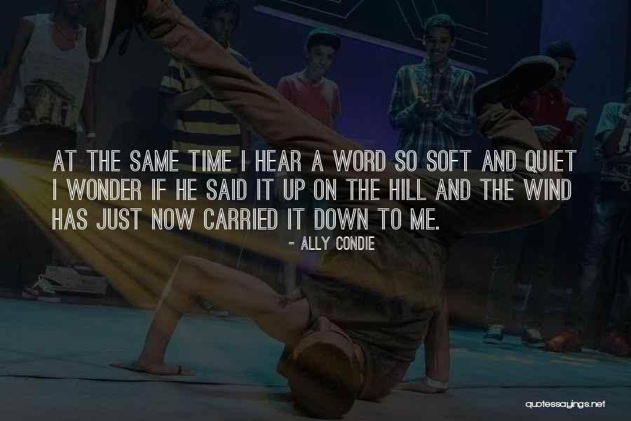 Zainuddin Syarif Quotes By Ally Condie Zainuddin Syarif Quotes By Ally Condie