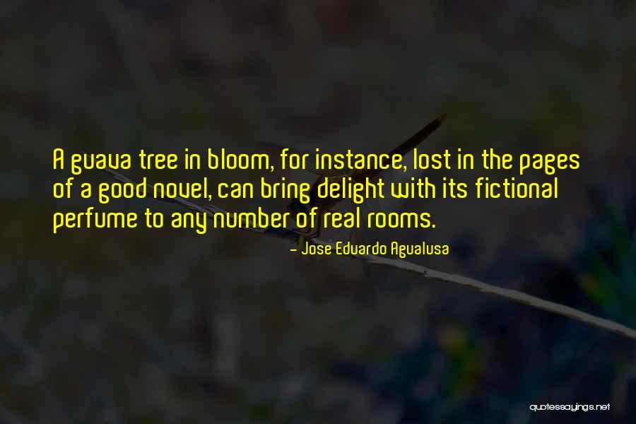 Zajick Mezzo Quotes By Jose Eduardo Agualusa Zajick Mezzo Quotes By Jose Eduardo Agualusa