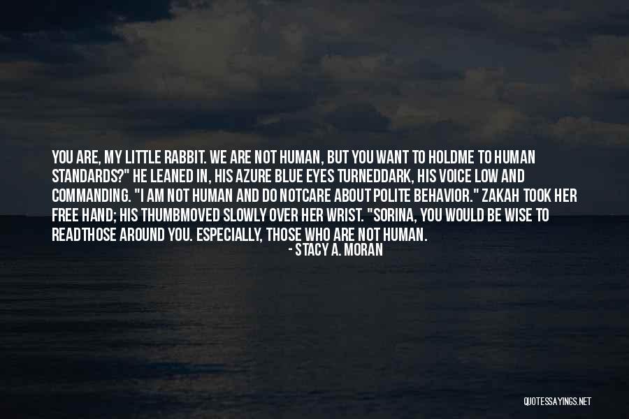 Zakah Quotes By Stacy A. Moran