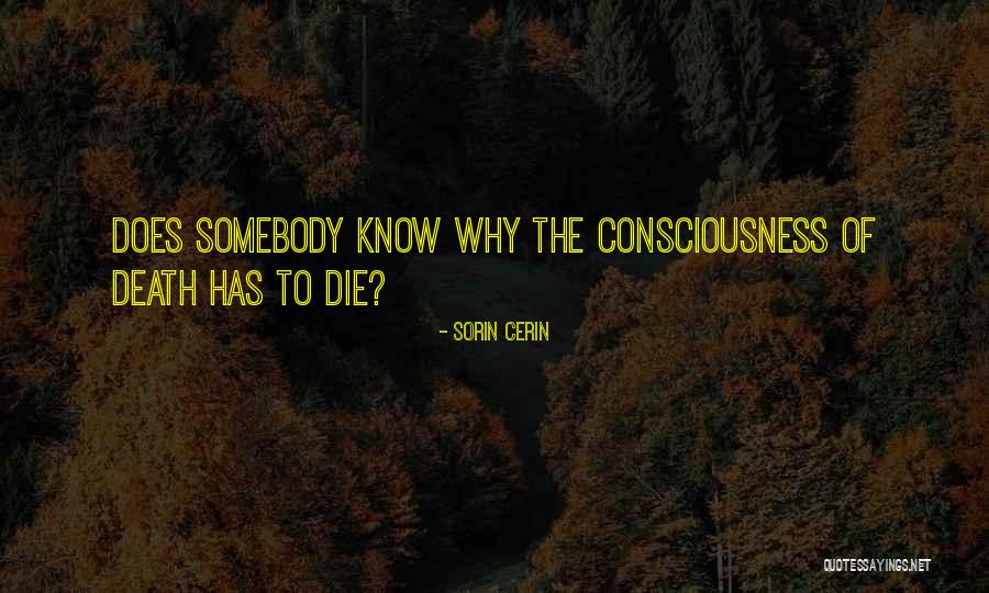 Zakat Ghasfur Quotes By Sorin Cerin Zakat Ghasfur Quotes By Sorin Cerin