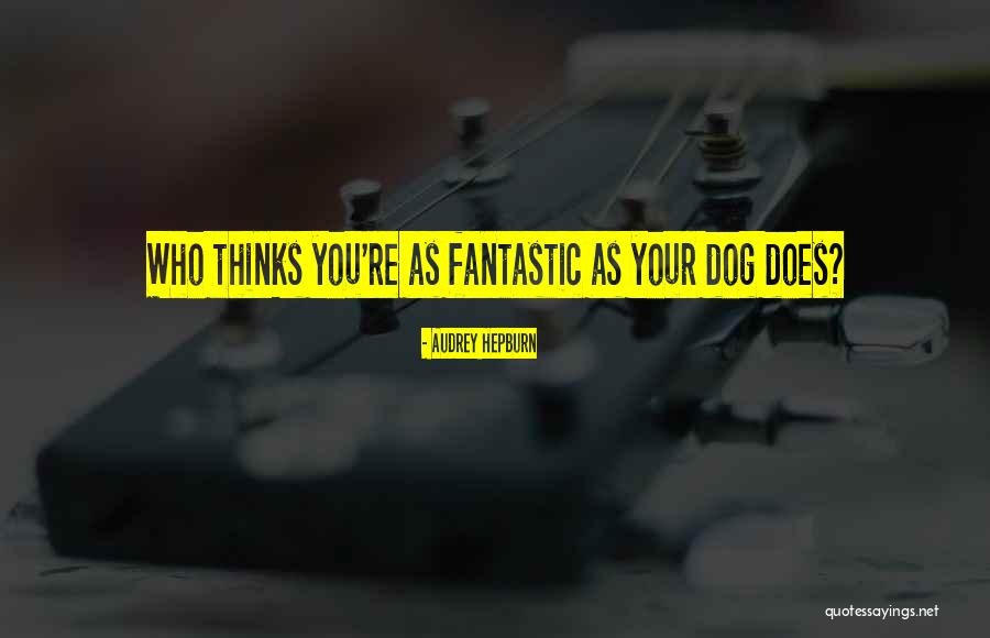 Zakazany Humor Quotes By Audrey Hepburn Zakazany Humor Quotes By Audrey Hepburn