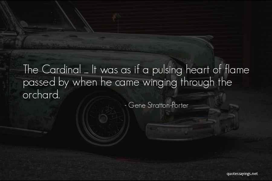 Zaket Quotes By Gene Stratton-Porter Zaket Quotes By Gene Stratton-Porter