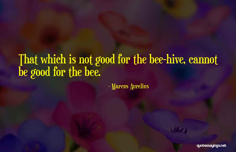 Zakin Winery Quotes By Marcus Aurelius Zakin Winery Quotes By Marcus Aurelius