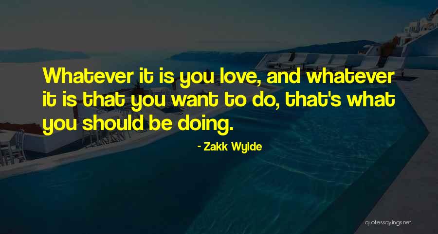 Zakk Wylde Quotes 1261436