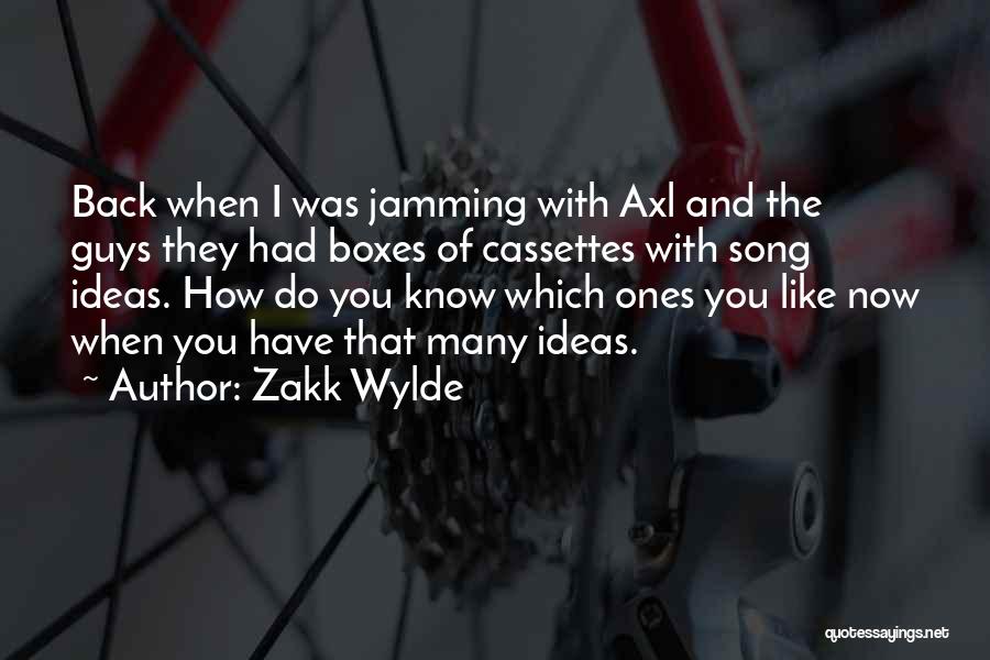 Zakk Wylde Quotes 755173