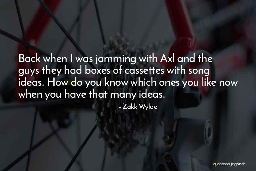 Zakk Wylde Quotes 755173