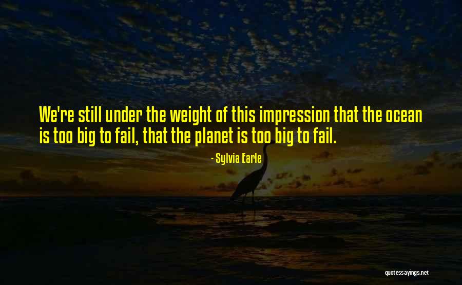 Zalmai Quotes By Sylvia Earle Zalmai Quotes By Sylvia Earle