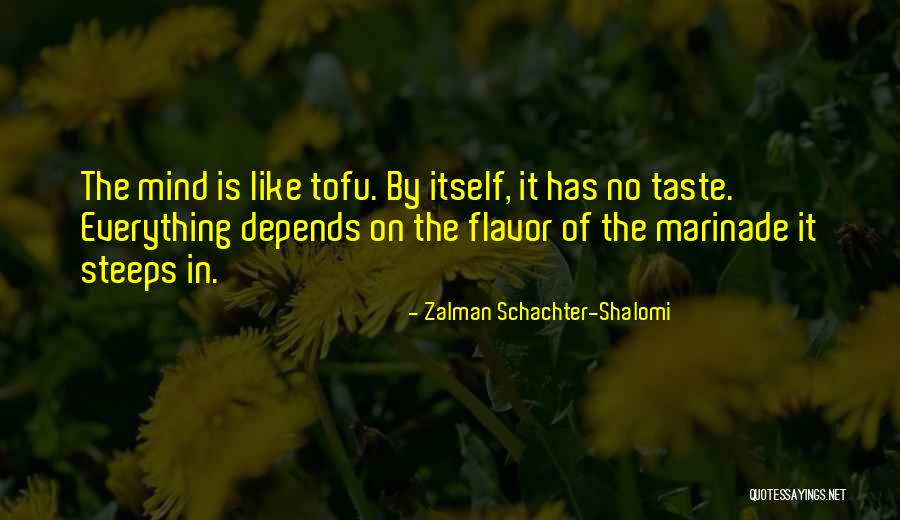 Zalman Schachter-Shalomi Quotes 663455