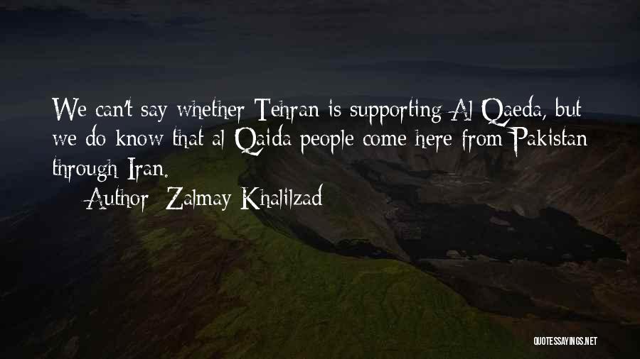 Zalmay Khalilzad Quotes 2117850