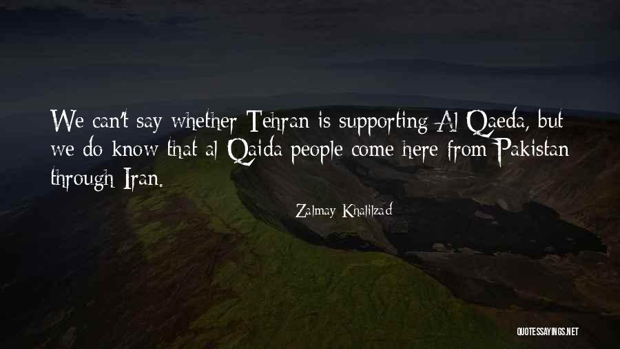 Zalmay Khalilzad Quotes 2117850 Zalmay Khalilzad Quotes 2117850