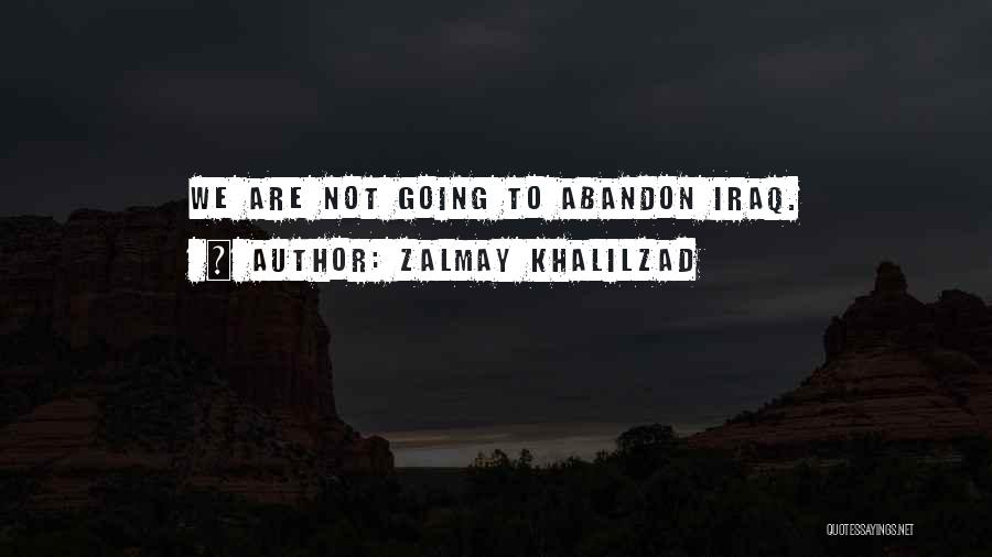 Zalmay Khalilzad Quotes 333396