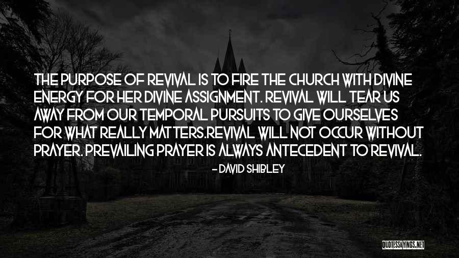 Zalmi Quotes By David Shibley Zalmi Quotes By David Shibley