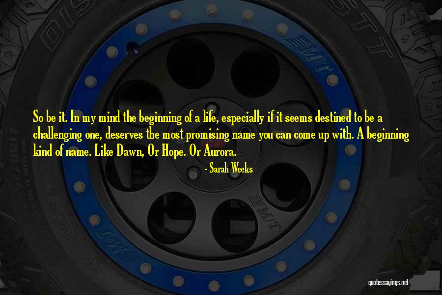 Zamacona Y Quotes By Sarah Weeks Zamacona Y Quotes By Sarah Weeks
